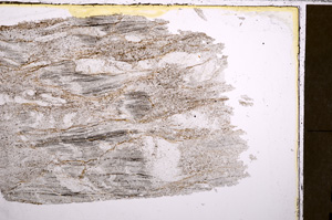 Plane Polarized, E27391