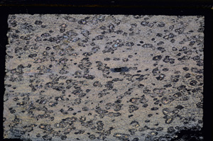 Cross Polarized, E27403