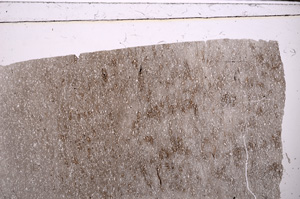 Plane Polarized, E27419