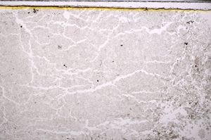 Plane Polarized, E27420