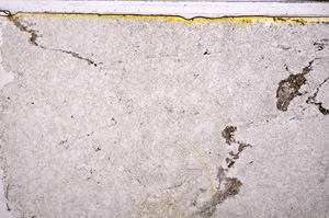 Plane Polarized, E27421