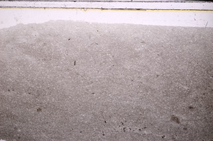 Plane Polarized, E27422