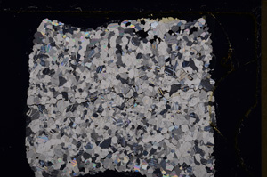 Cross Polarized, E27423