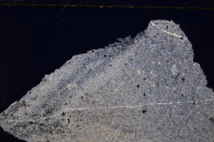 Cross Polarized, E27424