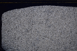 Cross Polarized, E27425