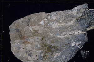 Cross Polarized, E27428