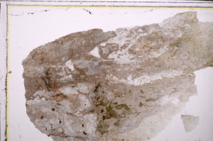 Plane Polarized, E27428