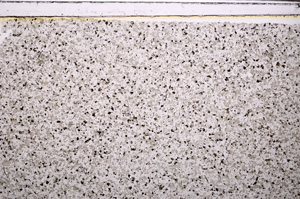 Plane Polarized, E27433