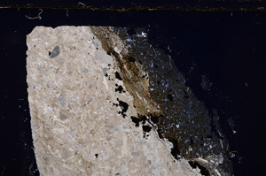 Cross Polarized, E27456