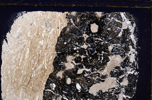 Cross Polarized, E27463