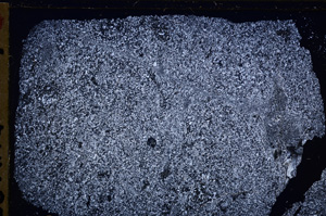 Cross Polarized, E27467