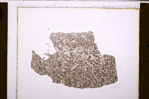 Plane Polarized, E27469
