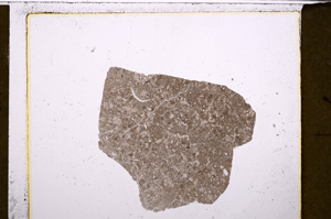 Plane Polarized, E27470