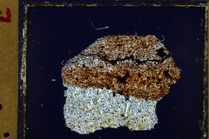 Cross Polarized, E27477