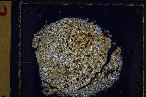 Cross Polarized, E27478