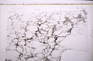 Plane Polarized, E27490