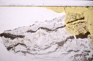 Plane Polarized, E27492