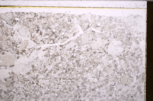 Plane Polarized, E27549