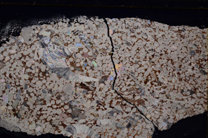 Cross Polarized, E27550