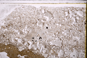 Plane Polarized, E27551