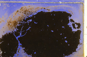 Cross Polarized, E27552