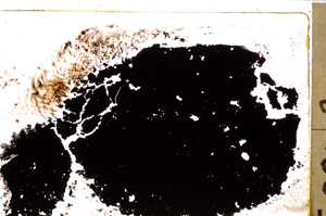 Plane Polarized, E27552