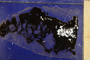 Cross Polarized, E27553