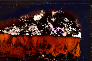 Cross Polarized, E27554