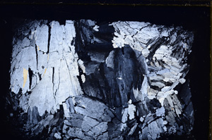 Cross Polarized, E27560