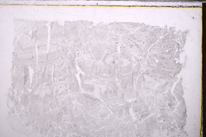 Plane Polarized, E27560