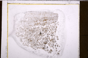 Plane Polarized, E27561