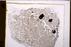 Plane Polarized, E27562