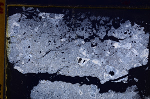 Cross Polarized, E27564