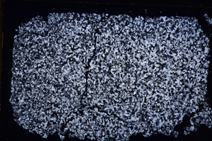 Cross Polarized, E27565