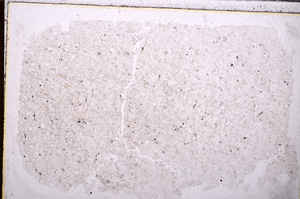 Plane Polarized, E27565