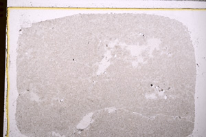 Plane Polarized, E27566