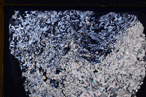 Cross Polarized, E27567