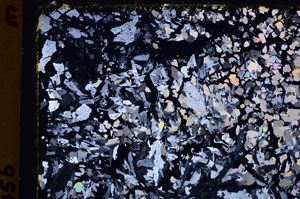 Cross Polarized, E27568