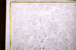 Plane Polarized, E27568