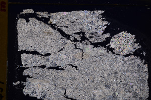 Cross Polarized, E27569