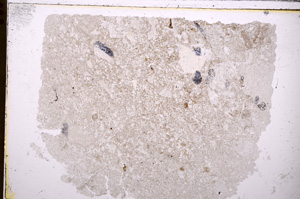 Plane Polarized, E27570