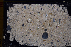 Cross Polarized, E27571