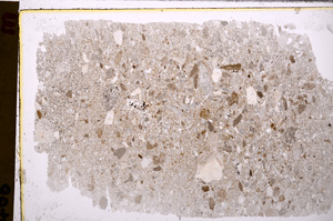 Plane Polarized, E27571