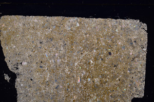 Cross Polarized, E27572