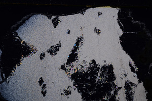 Cross Polarized, E27581