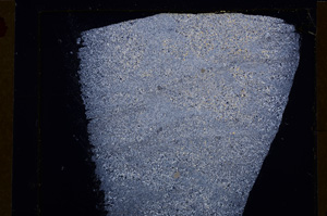 Cross Polarized, E27582