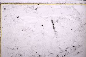 Plane Polarized, E27583
