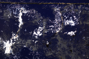 Cross Polarized, E27584