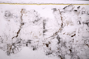 Plane Polarized, E27584
