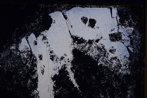 Cross Polarized, E27585